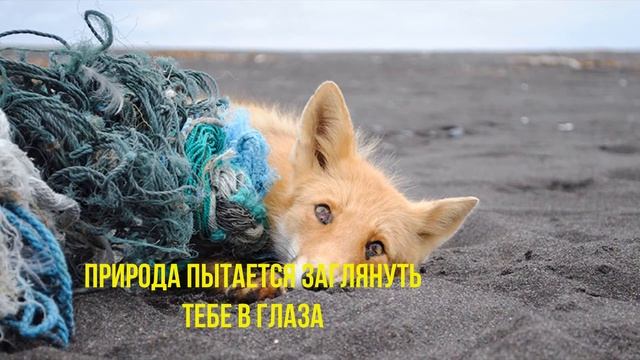 Береги свою планету! смотреть онлайн