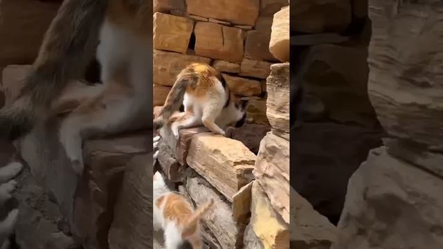 Прикольный юмор