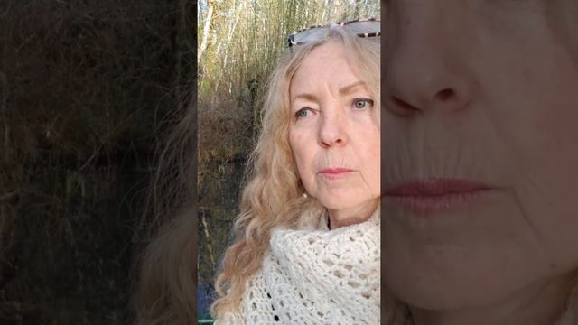 Why Plants and herbs grow around us смотреть онлайн