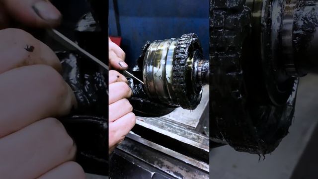 Машины в лесах