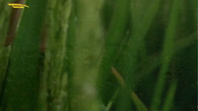 Люблю дождь