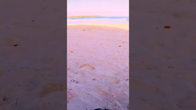 Tortuga Bay ? смотреть онлайн