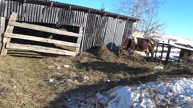 И снова о магнитах . Отвечаю на вопросы . смотреть онлайн