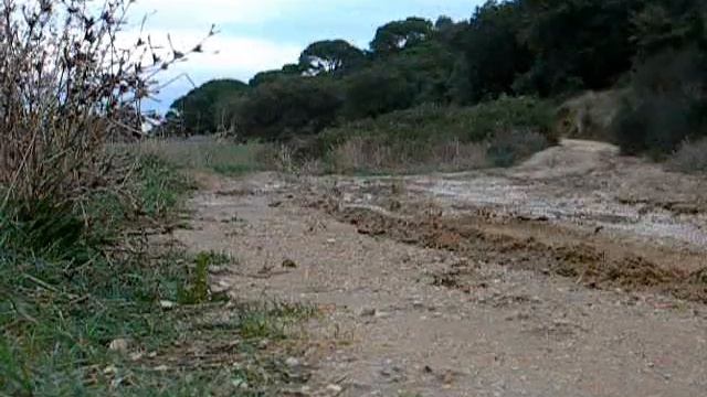 Chuva! смотреть онлайн