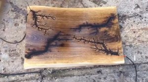 Аппарат Лихтенберга для выжигания электричеством молний на дереве