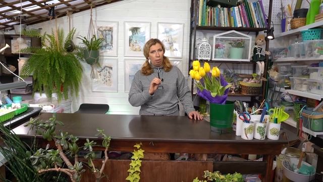 Мои 15 метров. Как обустроить зимний сад дома? смотреть онлайн