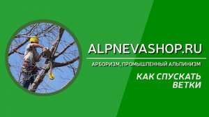 Как спускать ветки. Советы арбористам.