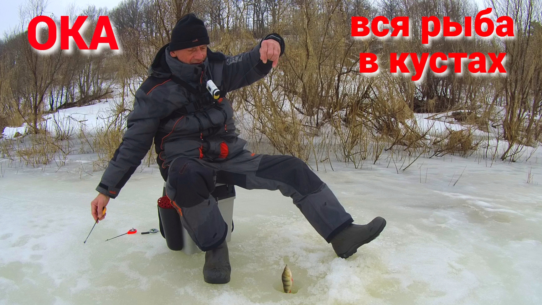 НАШЁЛ КЛЁВУЮ ЛУНКУ. ВСЯ РЫБА В КУСТАХ. Рыбалка на ОКЕ. смотреть онлайн