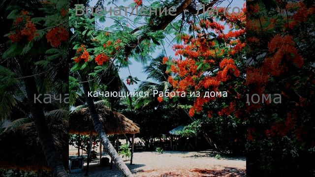 Сцинтилляционные - Приготовление кофе