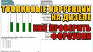 Как проверить форсунки на дизеле. Коррекция впрыска. Компьютерная диагностика.