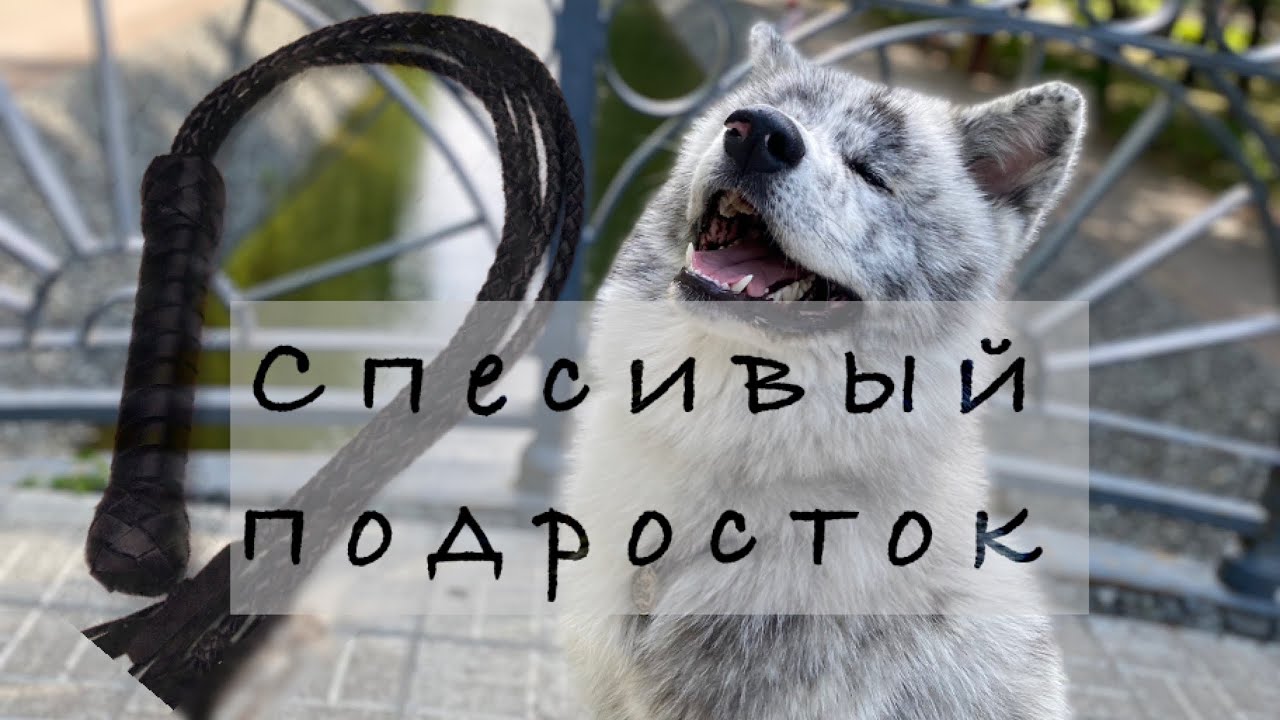 Воспитание & прогулка смотреть онлайн