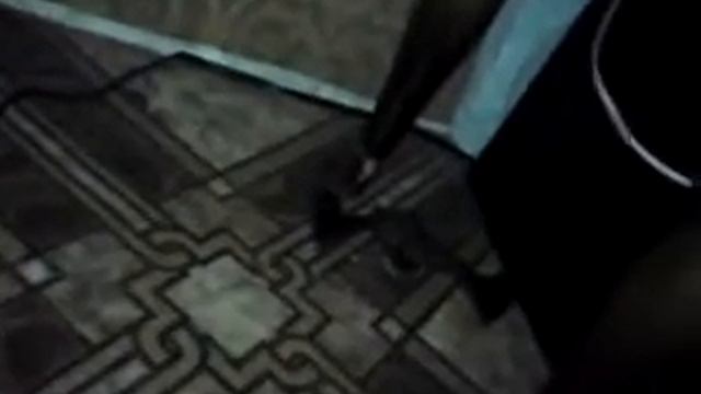 Литучая мышь Благовещенска.MP4 смотреть онлайн