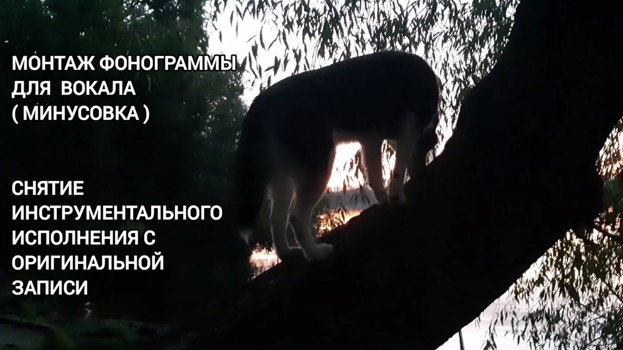 Учебная дисциплина : современная звукорежиссура | 1 курс  | Музыкальное звукооператорское мастерство