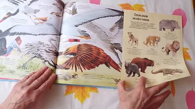 Обзор Большая книга о БОЛЬШИХ животных смотреть онлайн