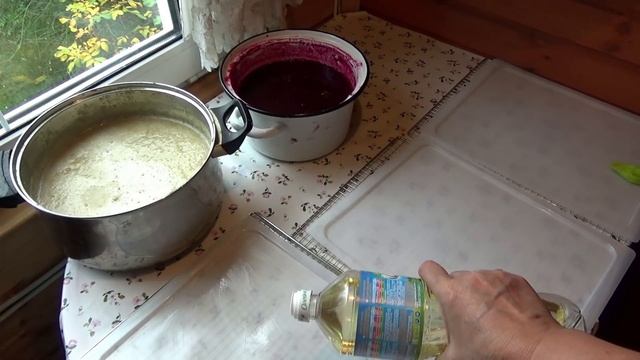 Пастила из винограда с яблоками. Изабелла - полезное объеденье! Мои заготовки на зиму смотреть онлайн
