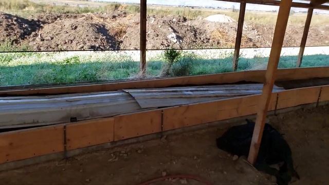 Compost Worm Die Off - What to do when your compost worms are dying - Part 2 смотреть онлайн