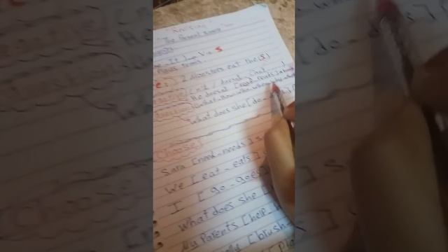 . Primary 2 , The present simple tense смотреть онлайн