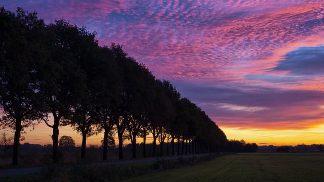 👐Bad Boys Blue - A World Without You🌳