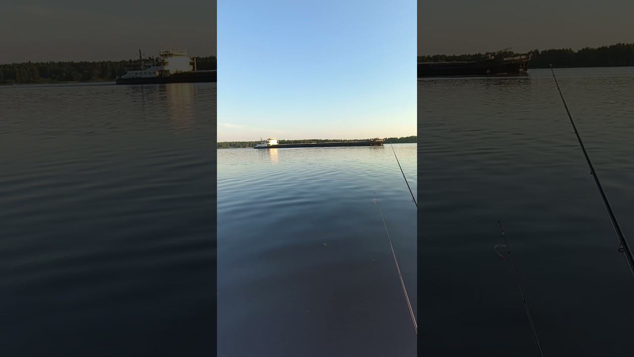Баржа идет по Волге #shortvideo #fishing #рыбалка #fishingvideo смотреть онлайн