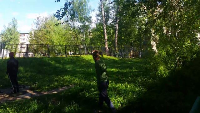27.05.2017 Лось во дворе пер.Герцена д.6 г.Ярославль смотреть онлайн