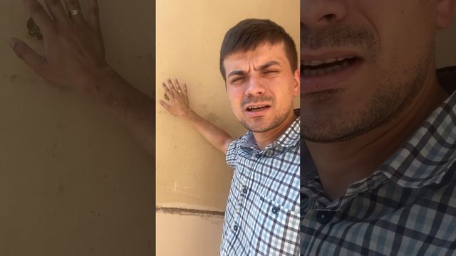 Всегда мечтал побывать в пустыне Сахара 🐪 ☀️ #юмор смотреть онлайн