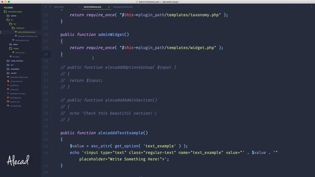 WordPress Plugin Development - Part 19 - Modular Callbacks смотреть онлайн