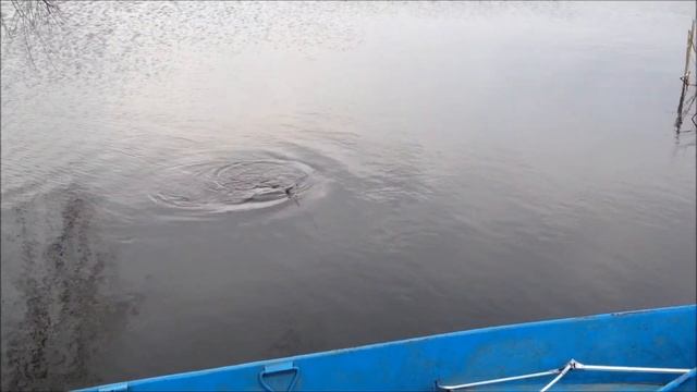 Рыбалка и Отдых.Бобрица озеро №1. смотреть онлайн