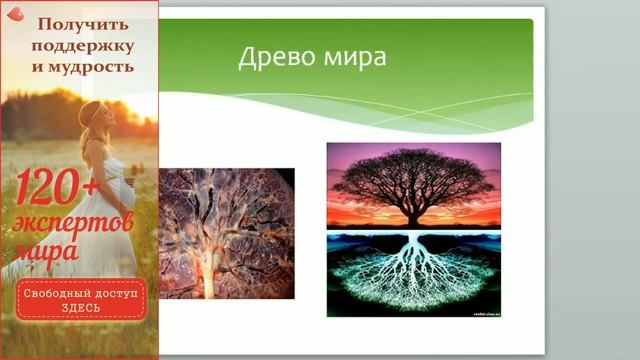 Воды отошли, а схваток нет. Сколько ждать и как отслеживать состояние ребёнка? - Д.Стрельцова смотреть онлайн