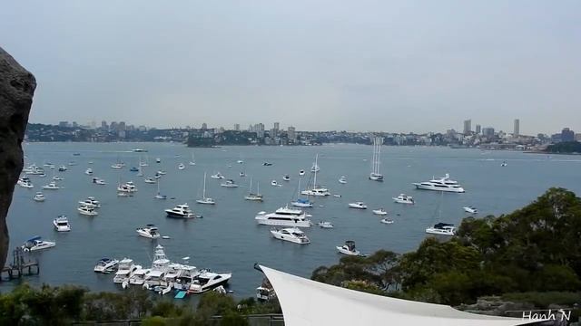 Taronga Zoo, Sydney Australia смотреть онлайн
