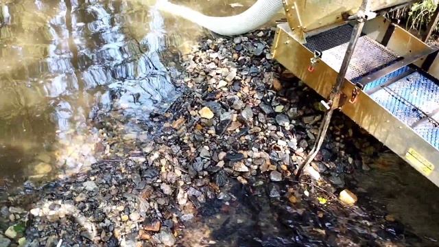 Посвящение в старатели. Initiation into Prospectors смотреть онлайн