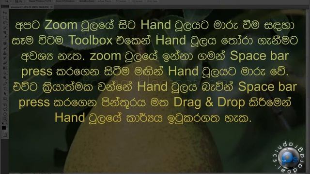 Zoom Tool | Photoshop | Roomax смотреть онлайн
