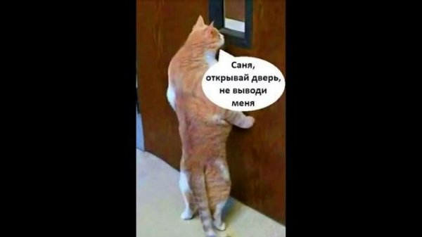 Лютые приколы. КАК Я ЗАГОРАЮ!!! Тест на психику! Попробуй не засмеяться! – Domi Show!