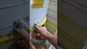 Медогодка шести рамочная автомат  на 220 вольт ,,Донская Пчела,,??