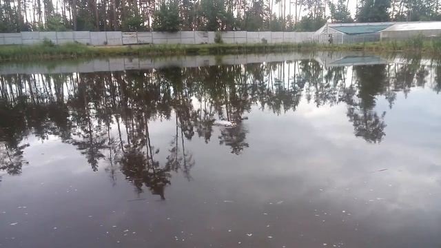 Сделали корабль из 6 бутылок смотреть онлайн