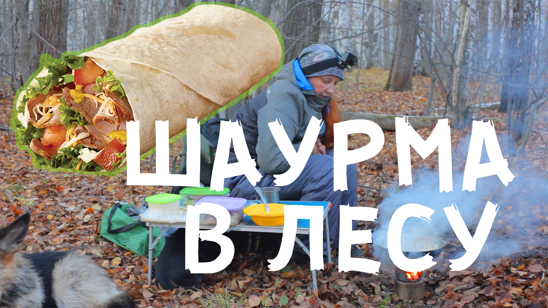 Поход в лес