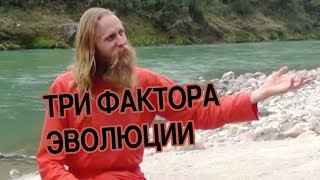 Факторы развития личности. Всестороннее развитие человека.