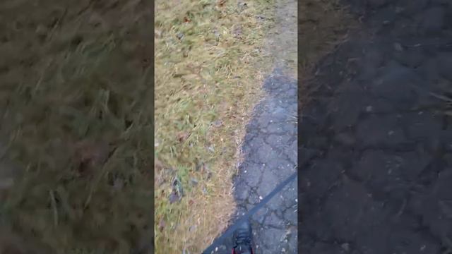 лечение на любом расстоянии и в любом времени или мире смотреть онлайн