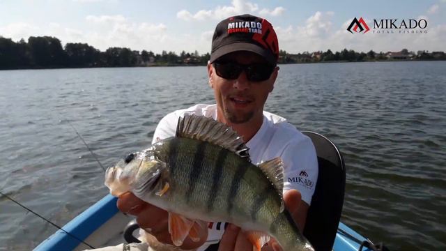 Wędka Katsudo Slim смотреть онлайн