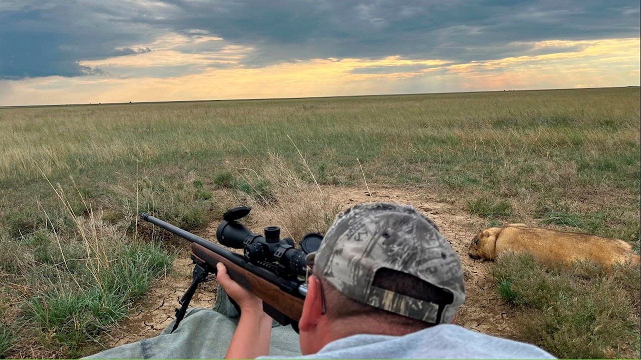 Стрельба на 150м по сурку. Пристрелка винтовки Ata Arms оптический прицел MARCH SK3-15 * 44FFP IR. смотреть онлайн