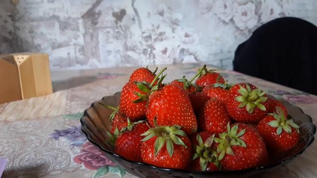 СИРИЯ.Замечательный сорт земляники. смотреть онлайн