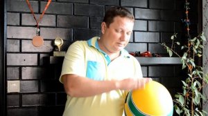 СХЕМА СБОРКИ 21 копия шлема Айртона Сенны 3