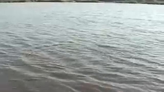 (ловля карпа) РЫБАЛКА НА МАРЬЕВСКОМ ВОДОЁМЕ часть 1 смотреть онлайн