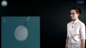 11 класс  Наблюдение интерференции и дифракции света