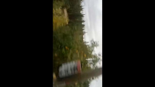 Еду в отпуск/Мурманск-Воронеж/В новом вагоне/ смотреть онлайн