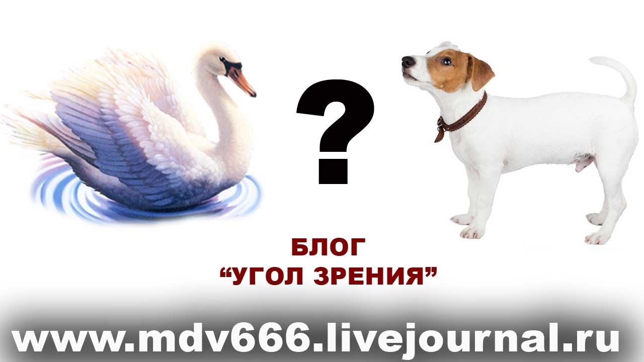 Практическая психология. Связки - 4 часть. смотреть онлайн