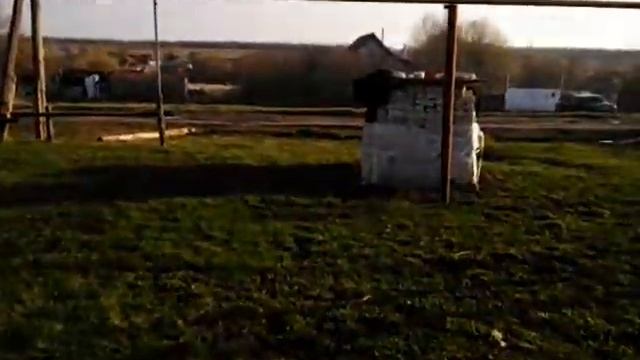 Уха из семги. Готовим уху. смотреть онлайн