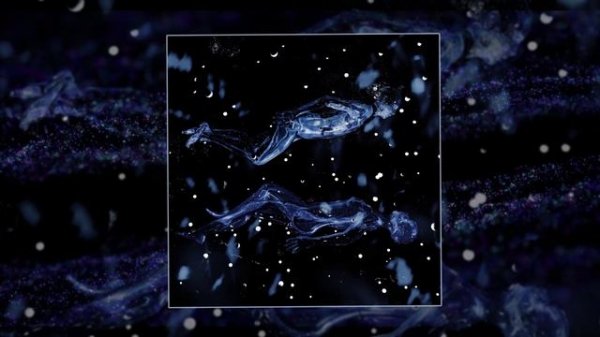 ARKUSHA - Подобие (Официальная премьера трека)