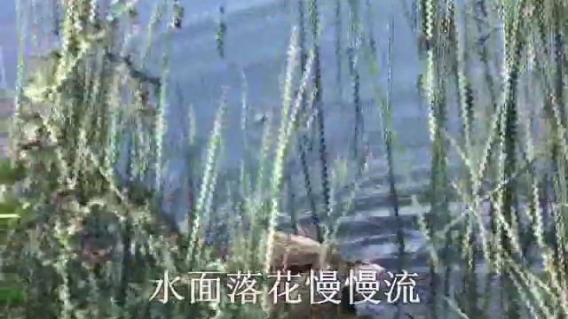 教我如何不想他 赵元任 Zhao Yuanren 曲, 于京君改编 смотреть онлайн