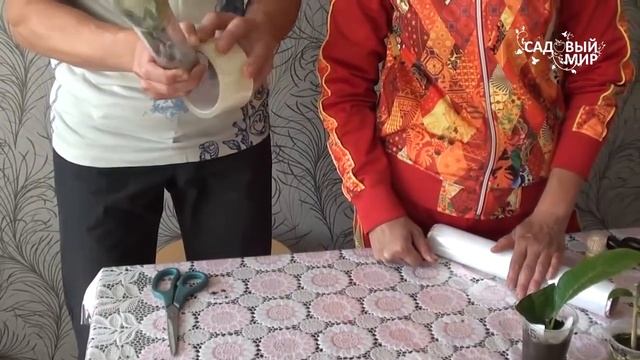 Как посылать растения почтой смотреть онлайн