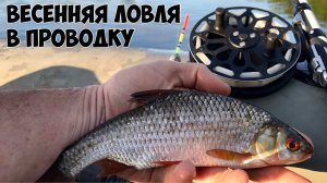 ВЕСЕННЯЯ ЛОВЛЯ В ПРОВОДКУ.